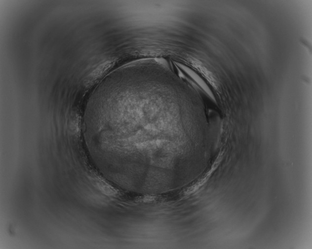 X0000091710305200709071418