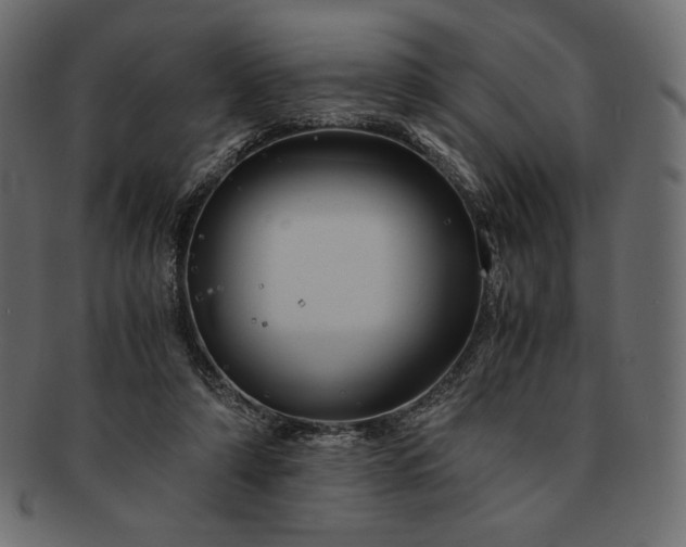 X0000091710306200709071418