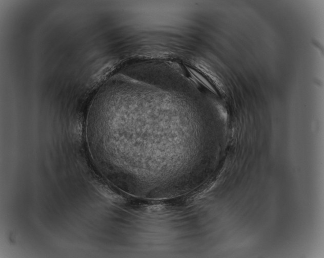 X0000091710309200709071418