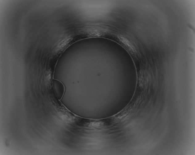 X0000091710314200709071418