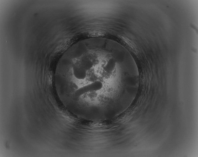 X0000091710315200709071418