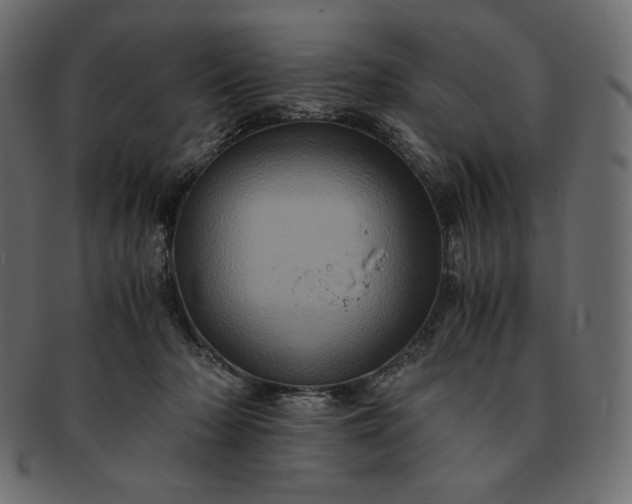 X0000091710318200709071418