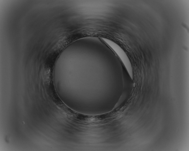 X0000091710319200709071418