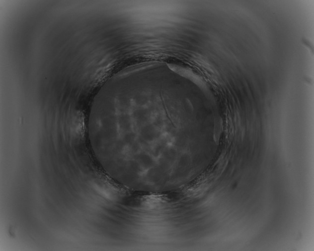 X0000091710320200709071418