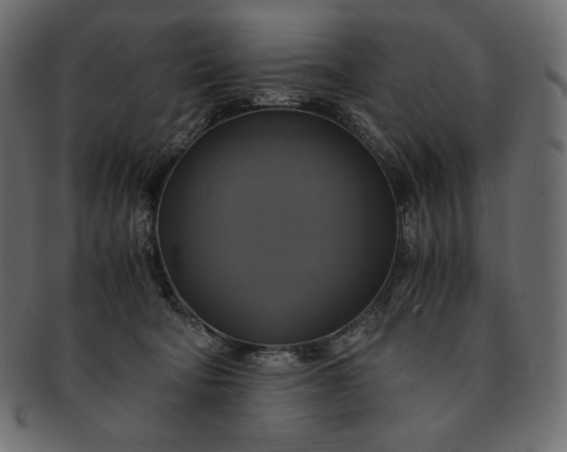 X0000091710322200709071418