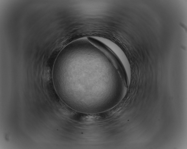 X0000091710323200709071418