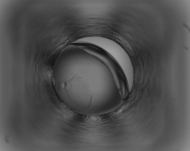 X0000091710329200709071418