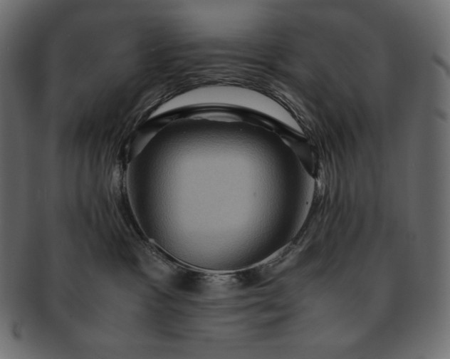 X0000091710333200709071418