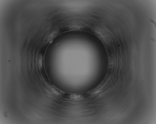 X0000091710334200709071418