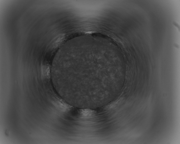 X0000091710336200709071418