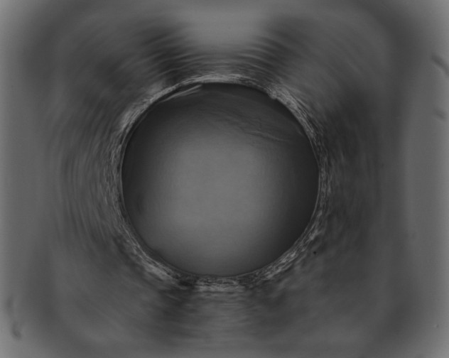 X0000091710337200709071417