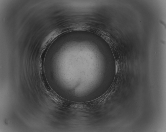 X0000091710339200709071417