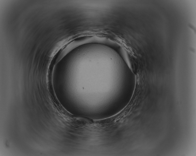 X0000091710340200709071417