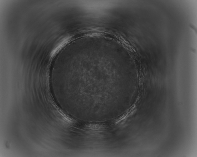 X0000091710341200709071417