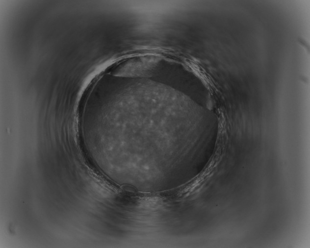 X0000091710342200709071417