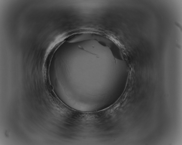 X0000091710343200709071417