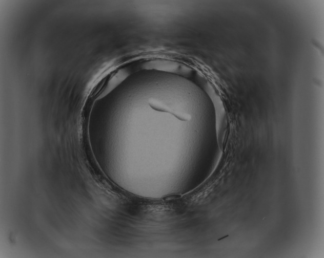 X0000091710344200709071417