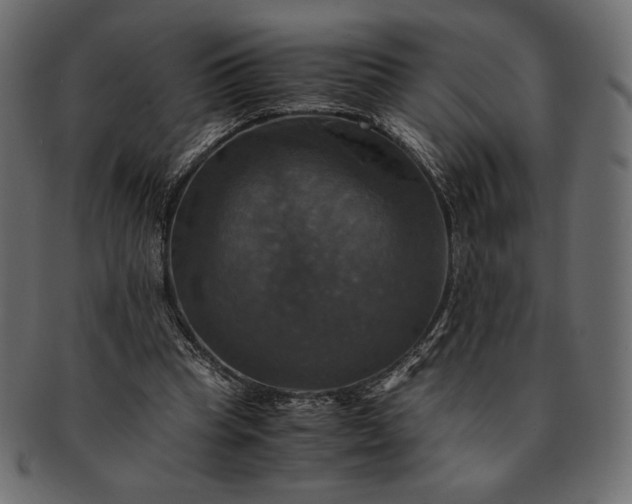 X0000091710345200709071417