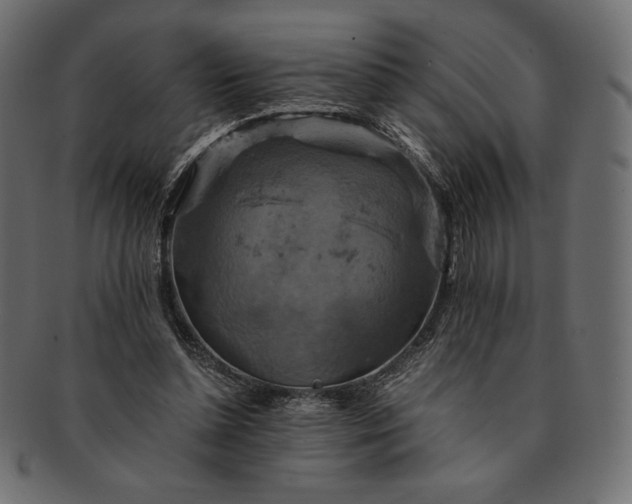 X0000091710348200709071417