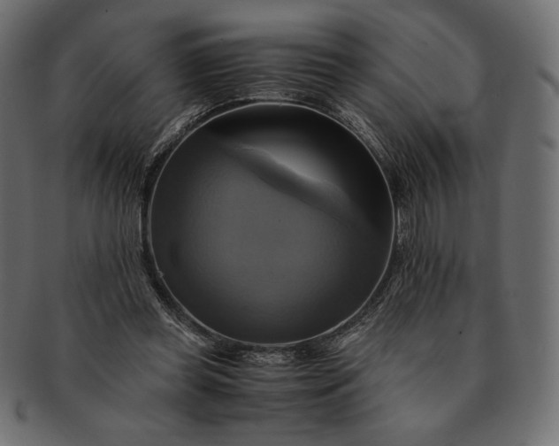 X0000091710349200709071417