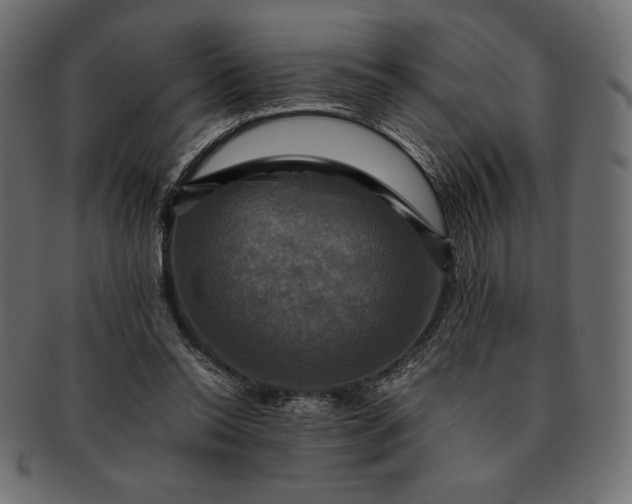 X0000091710350200709071417