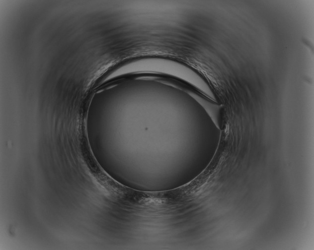 X0000091710352200709071417