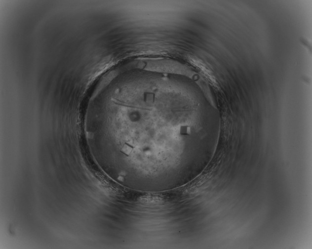 X0000091710354200709071417