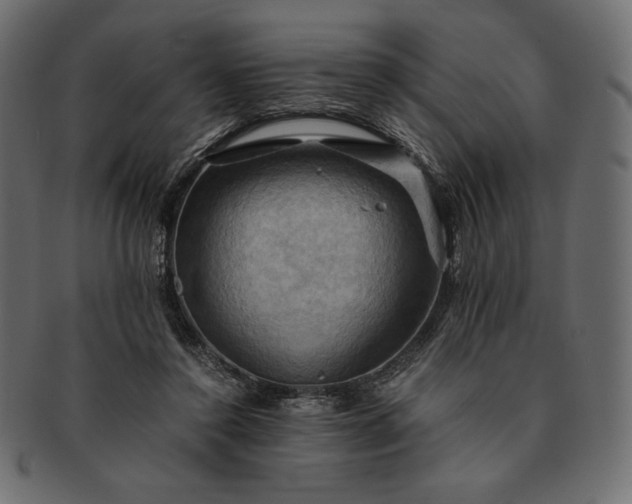 X0000091710356200709071417