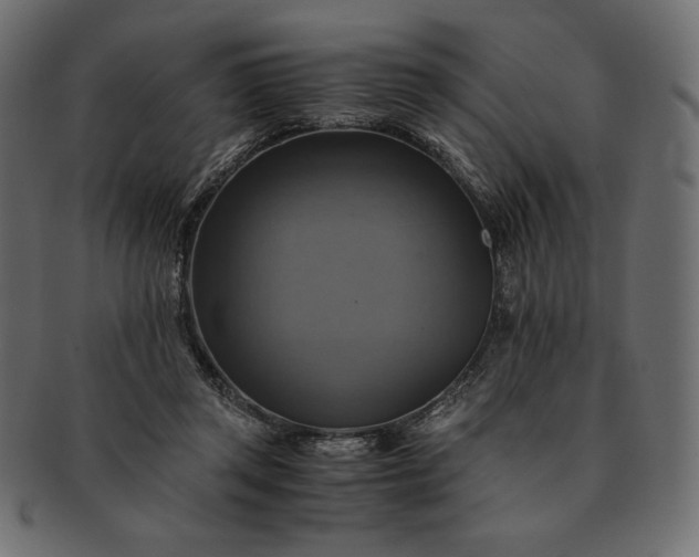 X0000091710357200709071417