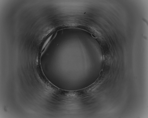 X0000091710358200709071417