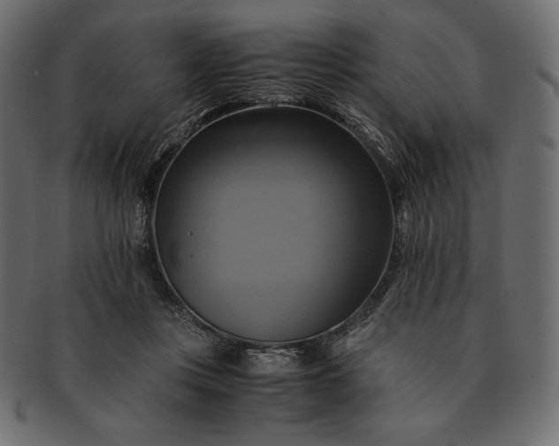 X0000091710359200709071417