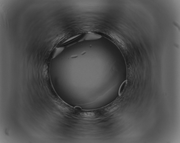 X0000091710361200709071417