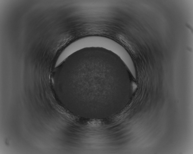 X0000091710362200709071418