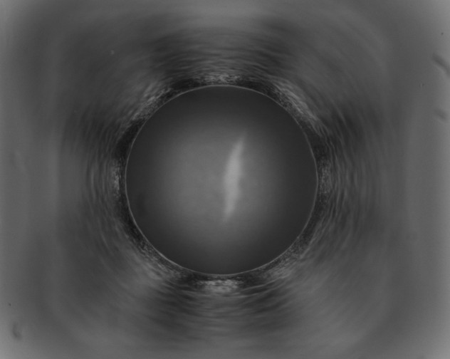 X0000091710363200709071418