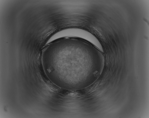 X0000091710364200709071418