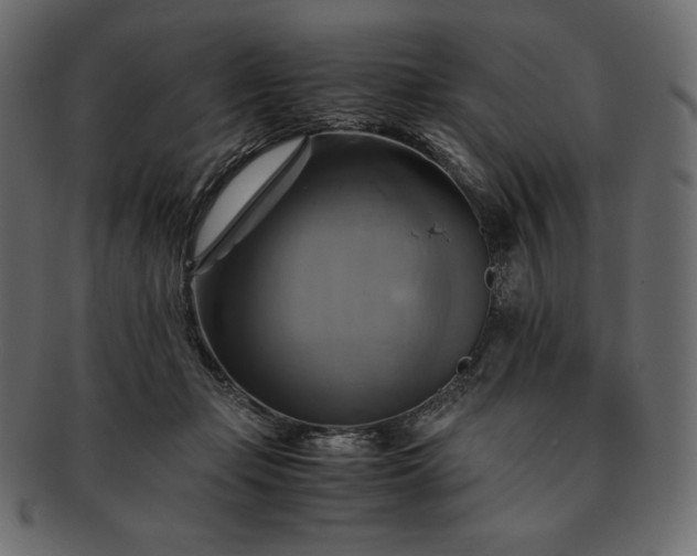 X0000091710365200709071418