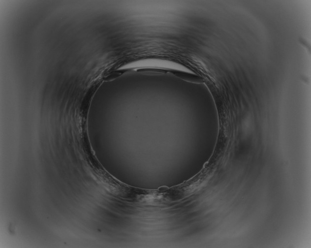 X0000091710366200709071418