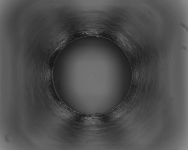 X0000091710367200709071418