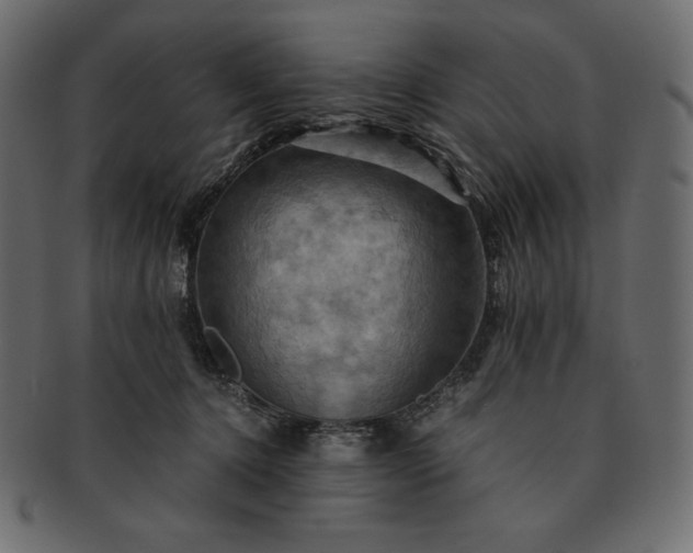 X0000091710368200709071418