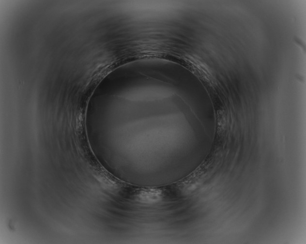 X0000091710369200709071418