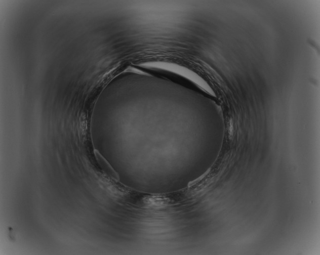 X0000091710372200709071418