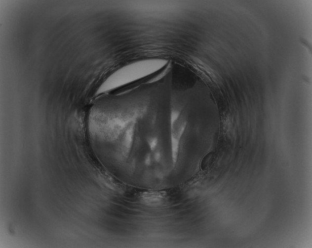 X0000091710373200709071418