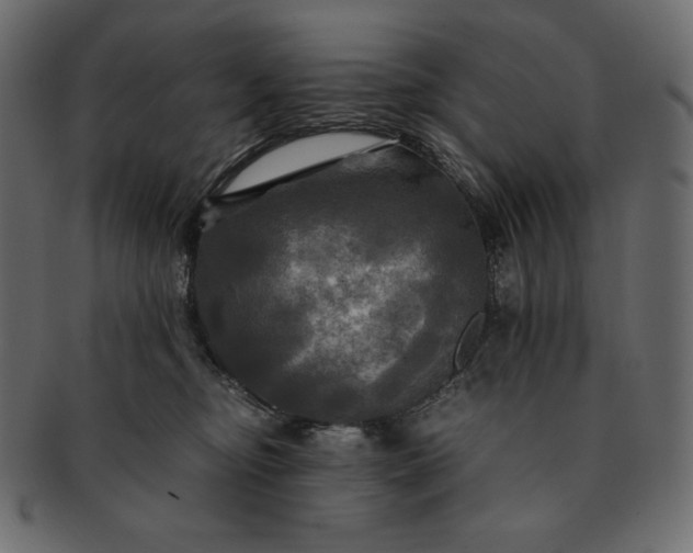 X0000091710374200709071418