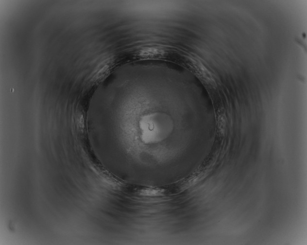 X0000091710375200709071418