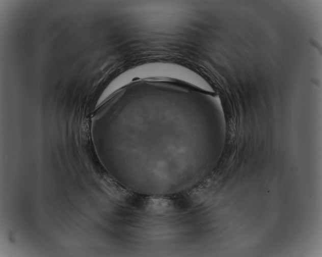 X0000091710376200709071418