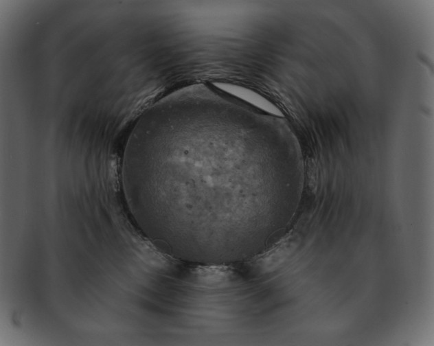 X0000091710378200709071418