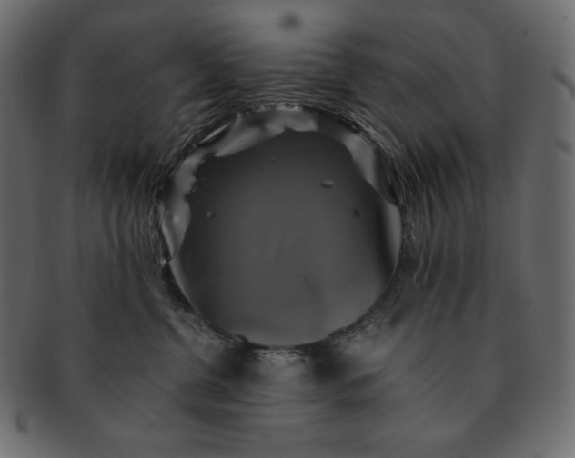 X0000091710380200709071418