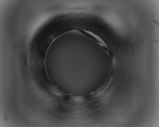 X0000091710383200709071418