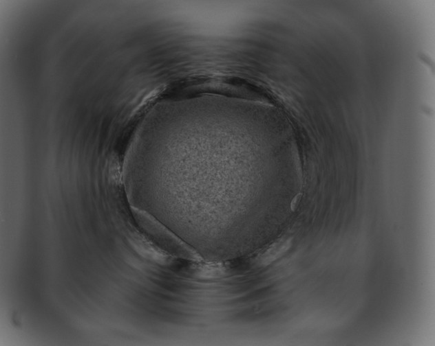 X0000091710384200709071418