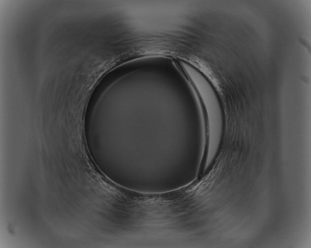 X0000091710385200709071417